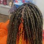 Kid's large box  Braids