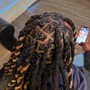 Two strand twist ( I do not have Locs )