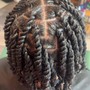 2 Strand Twists w/treatment