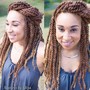 Havana Twists