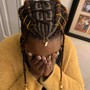 Tribal (feed-in) Braids