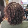 Loc Maintenance Mid Shoulder to Middle Back