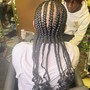 Feed in braids