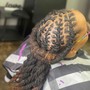 10-14 feed in braids