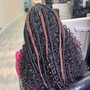 Box Braids/ Havana twist/ Butterfly locs/ kinky twist