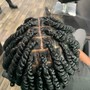 Medium Two Strand Twists/Plaits