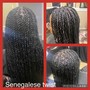 Senegalese Twist Med midback