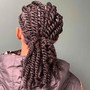 Two Strand twist (neck length and longer)