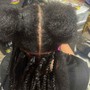 Box braids (natural hair color)