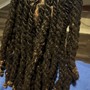 Starter Locs (SM-Medium)