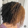 Starter Locs (SM-Medium)