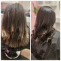 Olaplex Treatment