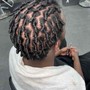 Starter Locs