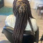 Goddess Braids ( short)