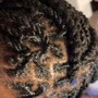 Loc Re-twist & Style 2-3 months