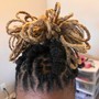 Starter Locs