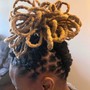 Starter Locs