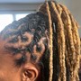 Loc Re-twist & Style 2-3 months