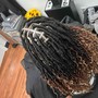 Root Touch Up