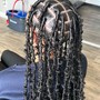 Butterfly locs Mid back