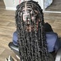 Butterfly locs Mid back