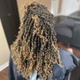 Root Touch Up