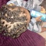 Kid's Retwist and style