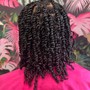 Two Strand Twists