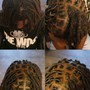 Adult Starter locs