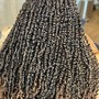 Crochet Braids/Twists/Locs