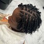 Starter Locs