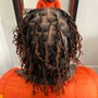 Starter Locs