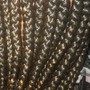 Knotless Box Braids or Lemonade Box Braids (Medium/Mid-Back)