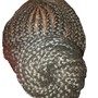 Passion Twist (Medium Shoulder Length)