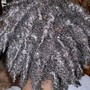 Natural Coils