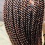 Senegalese twists medium