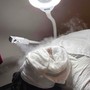 "The perfect glow” Facial