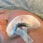 Eyelash Extension Removal