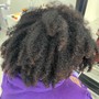 Starter Locs