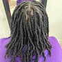 Starter Locs