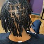 Starter Locs