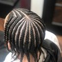 Starter Locs w/ style