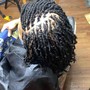 Loc maintenance retwist