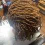 Loc maintenance retwist