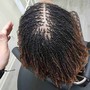 Traditional Loc Maintenance(90 Locs or less)(large)