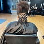 Comb Coils into Two Strand Twist