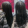 Medium Senegalese Twist