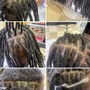 Starter Dreadlocks