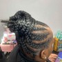 Small Feed in  Braid ponytail