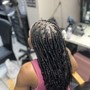 Root Touch Up